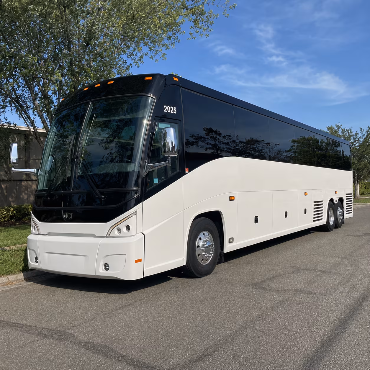 buffalo charter buses for buffalo classrooms and field trips