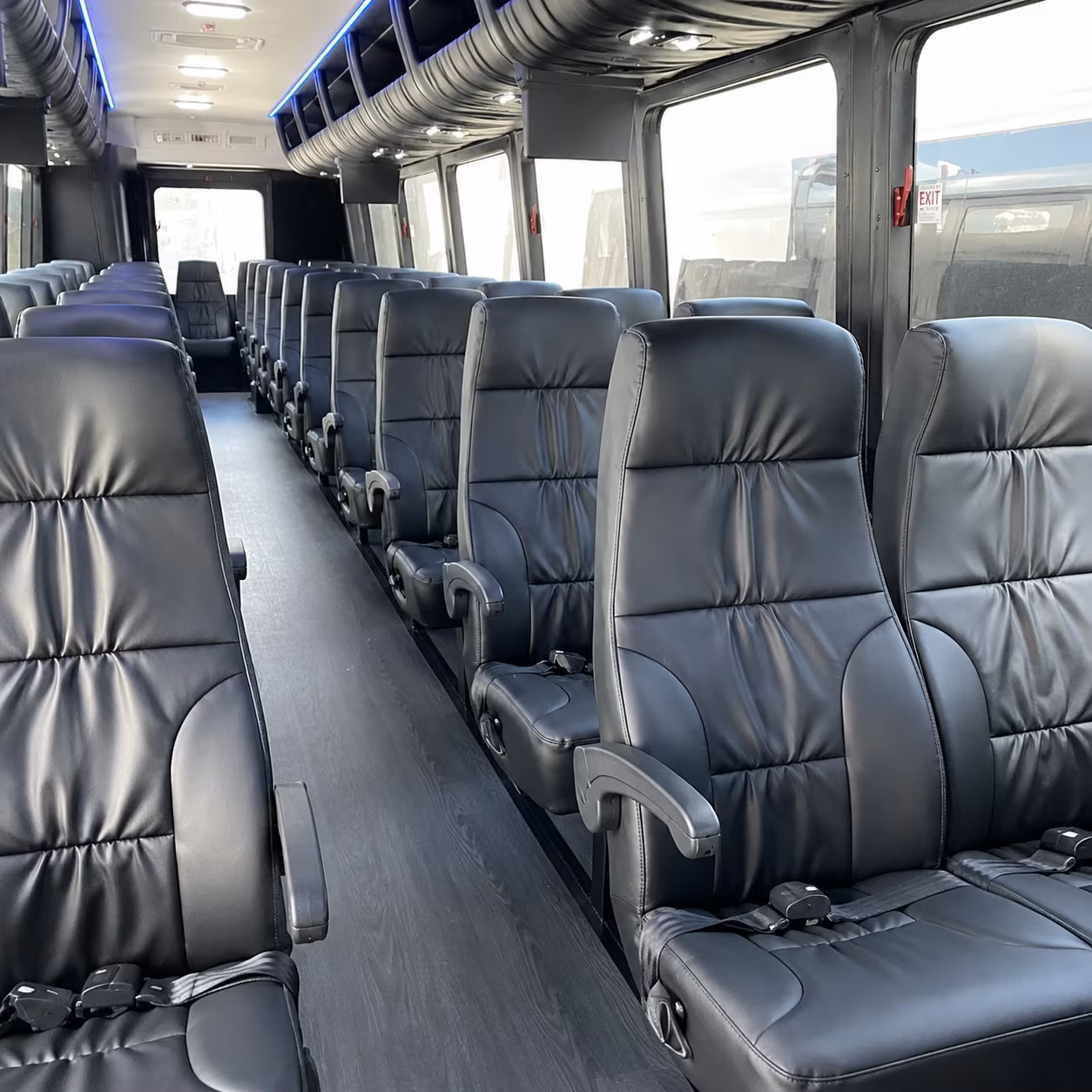 buffalo make an entrance with buffalo prom transportation